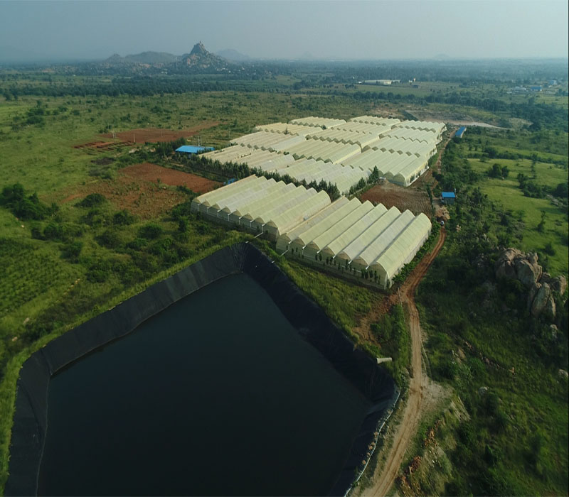 chithravathi organic village polyhouses view